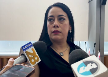 Renuncia América Aguilar al grupo parlamentario del PT