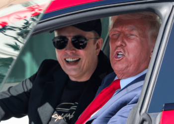 Musk se irá pronto: dice Trump a su gabinete