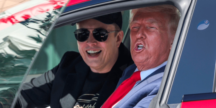 Musk se irá pronto: dice Trump a su gabinete