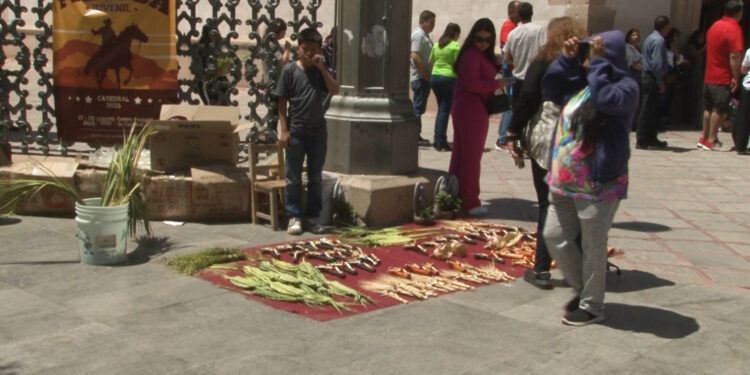 Las palmas son un elemento esencial en el Domingo de Ramos