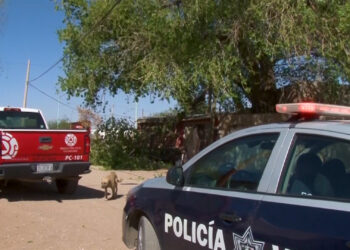 Vientos derriban árboles y estructuras en Cuauhtémoc