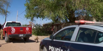 Vientos derriban árboles y estructuras en Cuauhtémoc