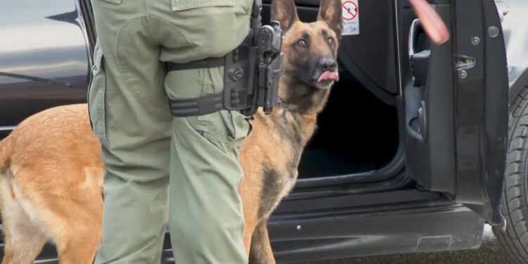 Instalan retenes en Aldama tras hechos violentos