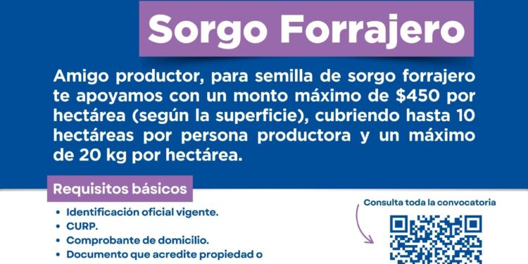 Abren convocatoria para apoyo a productores de sorgo en Chihuahua