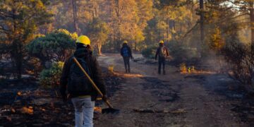 Despliegan brigadas para combatir incendio forestal en San Juanito
