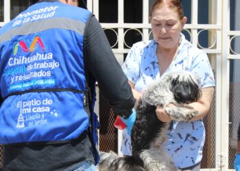 Conocer las colonias que visitará el programa “Patio de mi casa” en el mes de abril