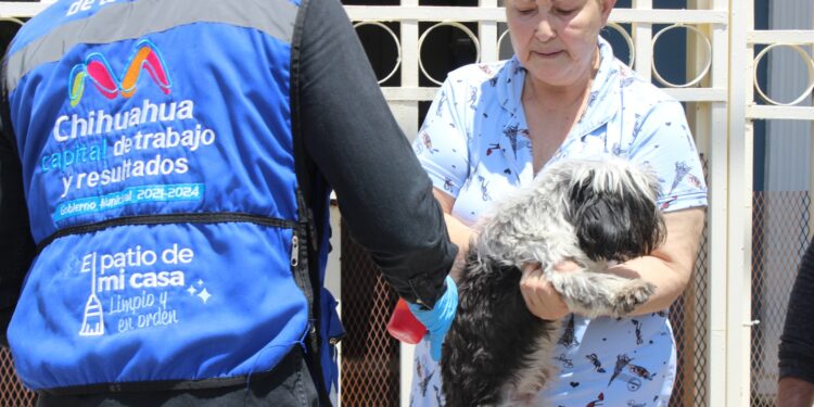 Conocer las colonias que visitará el programa “Patio de mi casa” en el mes de abril