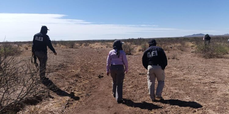 Realiza Fiscalía Sur operativo de búsqueda en Jiménez