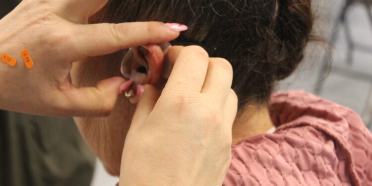 Entregarán aparatos auditivos con el programa “Todo Oídos”