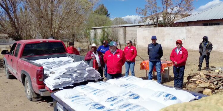 Llevan apoyos alimentarios a comunidades indígenas de La Junta