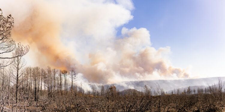 Combaten 30 brigadistas cuatro incendios forestales en zona serrana