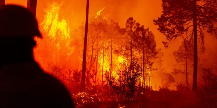 Combaten 30 brigadistas cuatro incendios forestales en zona serrana