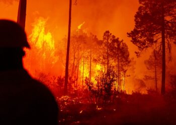 Combaten 30 brigadistas cuatro incendios forestales en zona serrana