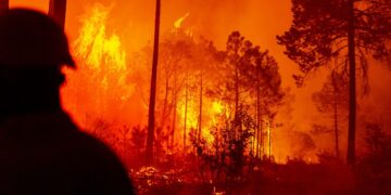 Combaten 30 brigadistas cuatro incendios forestales en zona serrana