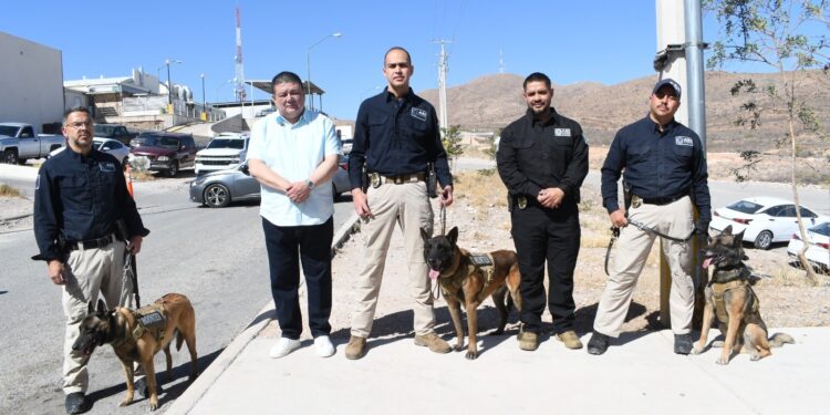 Retira fiscal insignias de servicio a seis caninos tras ocho años de servicio