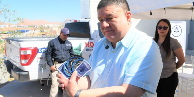 Retira fiscal insignias de servicio a seis caninos tras ocho años de servicio