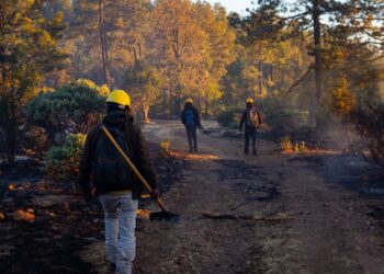 Permanecen activos cinco incendios forestales en el estado