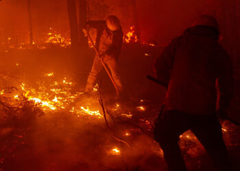 Hacen llamado para prevenir y reportar incendios forestales durante el periodo vacacional
