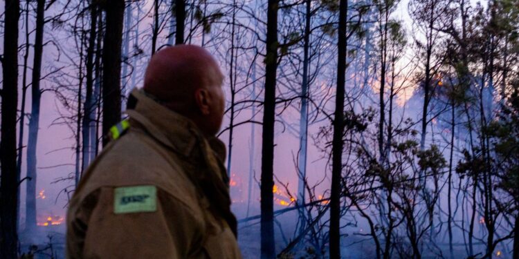 Combaten 13 incendios forestales activos en Chihuahua