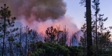 Aumentan incendios forestales en Chihuahua