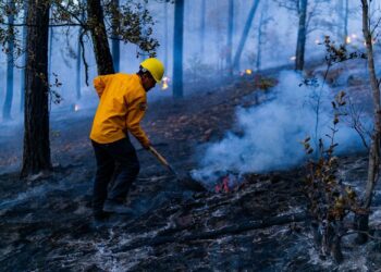 Combaten 13 incendios forestales activos en Chihuahua