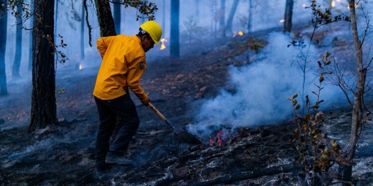 Combaten 13 incendios forestales activos en Chihuahua