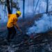Combaten 13 incendios forestales activos en Chihuahua