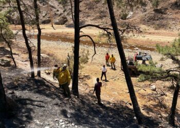 Atienden incendio forestal en Guerrero