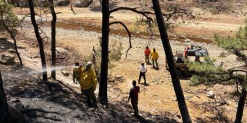 Atienden incendio forestal en Guerrero