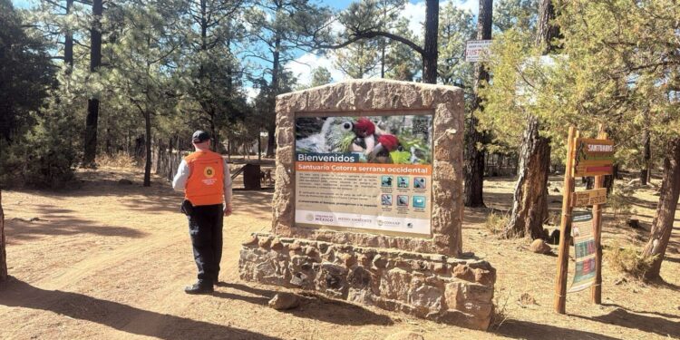 Reporta Protección Civil saldo preliminar de Semana Santa