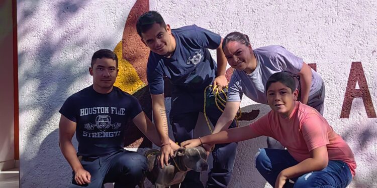 Perrita rescatada por bomberos regresa con su familia, en Cuauhtémoc