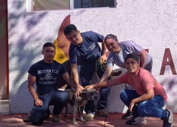 Perrita rescatada por bomberos regresa con su familia, en Cuauhtémoc