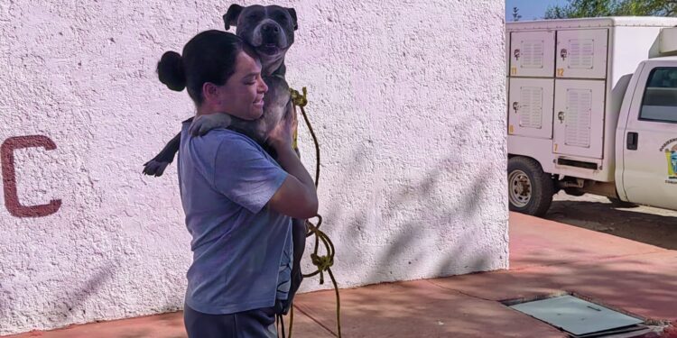Perrita rescatada por bomberos regresa con su familia, en Cuauhtémoc