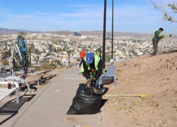 Refuerzan con acciones diarias cuidado del medio ambiente