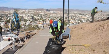 Refuerzan con acciones diarias cuidado del medio ambiente