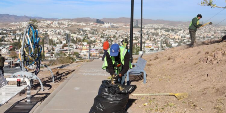 Refuerzan con acciones diarias cuidado del medio ambiente