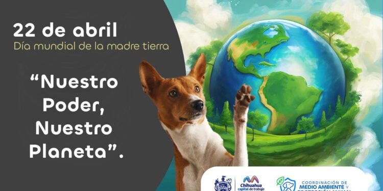 Cuida el medio ambiente desde casa con estas recomendaciones