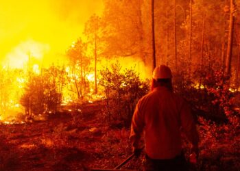 Controlan incendios en Balleza y Madera