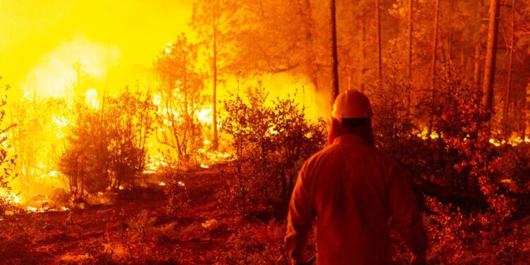 Controlan incendios en Balleza y Madera