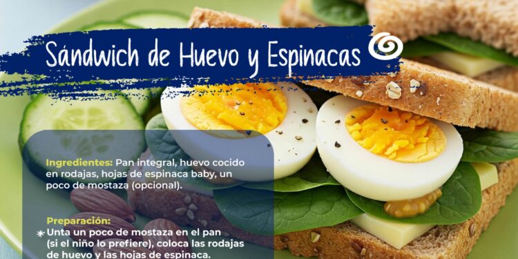 Loncheras saludables para estudiantes a través de recetas sencillas y fáciles