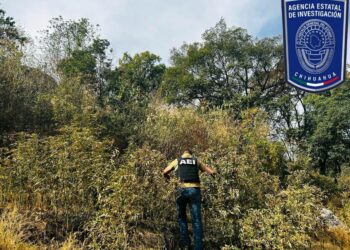 Destruyen plantío de marihuana en Guadalupe y Calvo