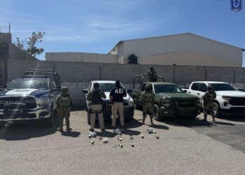 Operativo Conjunto retiró 16 cámaras de vigilancia en áreas públicas