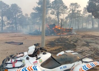 Trabaja CEPC en junto con Sedena para atender incendio en Guerrero