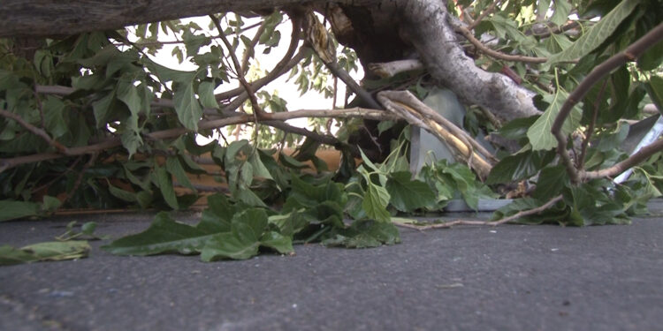 Falla mecánica en pipa causa accidente en la avenida Cantera
