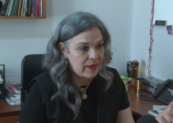 IEE permite anotaciones personales para facilitar el voto