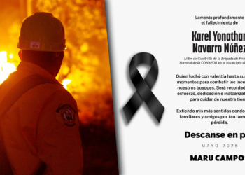 Fallece brigadista en incendio forestal en Casas Grandes
