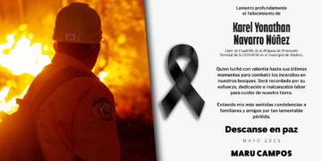 Fallece brigadista en incendio forestal en Casas Grandes