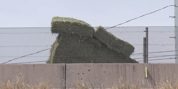 Pacas de pastura caen de tráiler en movimiento en Meoqui