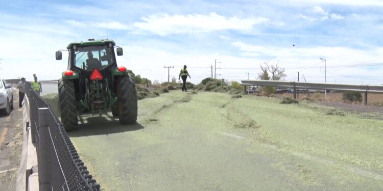 Pacas de pastura caen de tráiler en movimiento en Meoqui