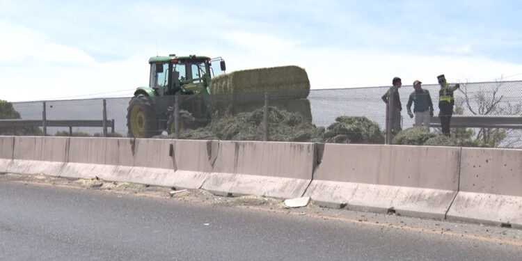 Pacas de pastura caen de tráiler en movimiento en Meoqui
